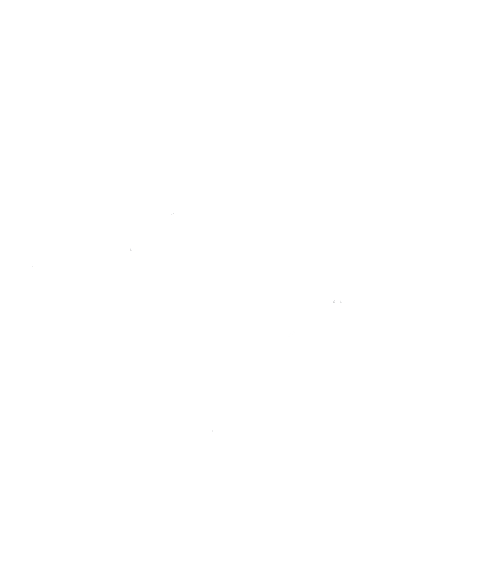 India Map_nobackground White